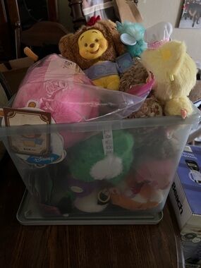 Disney, Miniso, Baby Three, Nommi, etc. all NEW! Selling as a large bundle
